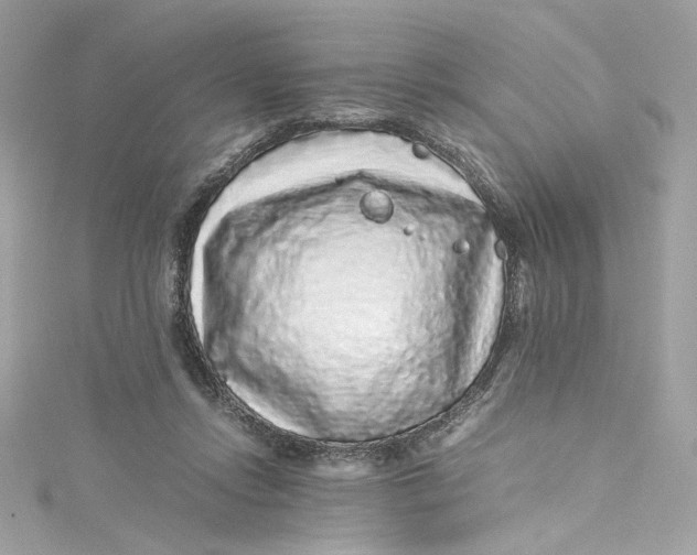 X0000115060358200911161613