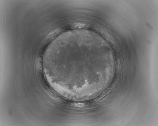 X0000115060361200911161613