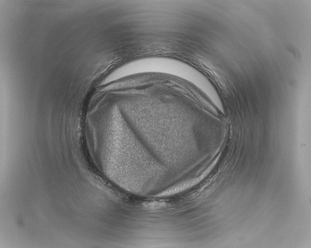 X0000115060362200911161613