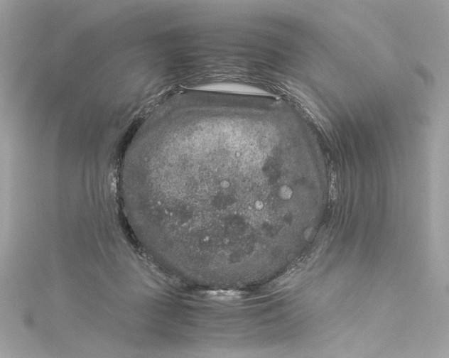 X0000115060363200911161613