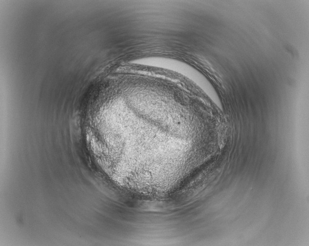 X0000115060366200911161613