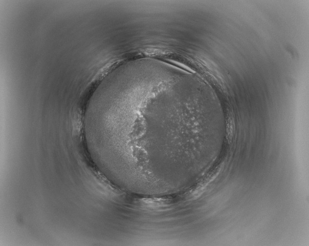 X0000115060367200911161613