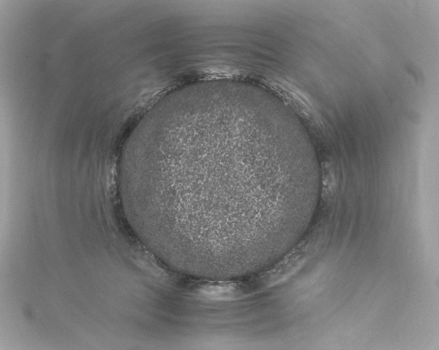 X0000115060369200911161614