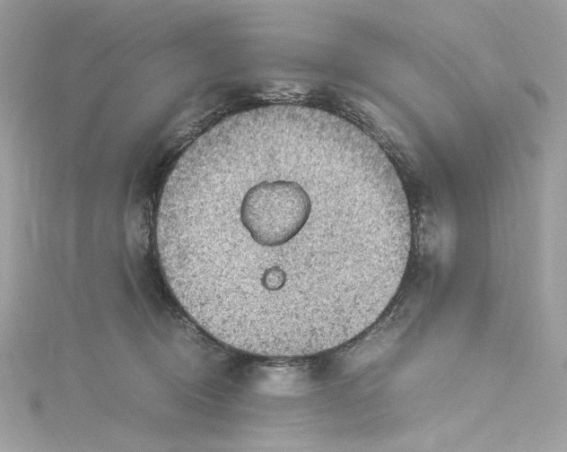 X0000115060370200911161614