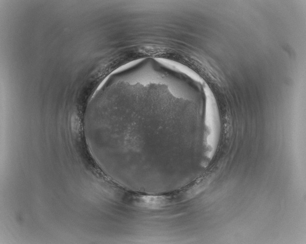 X0000115060371200911161614