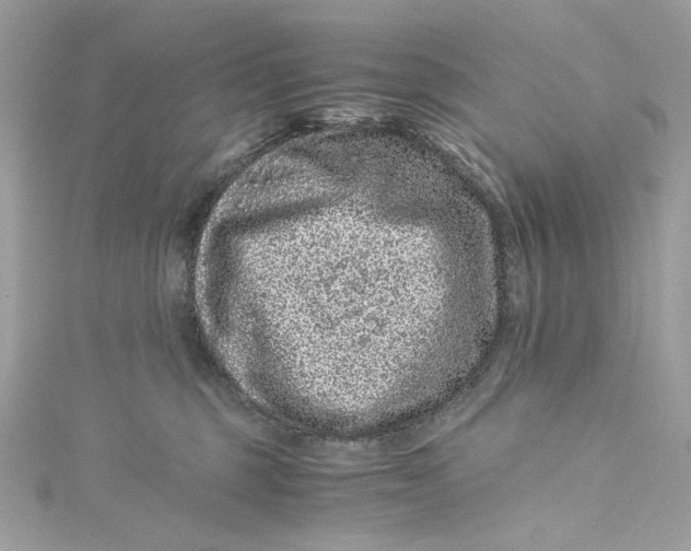 X0000115060375200911161614