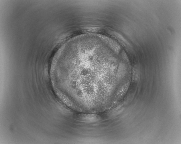 X0000115060377200911161614