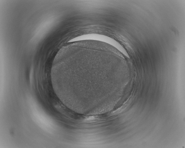 X0000115060382200911161614