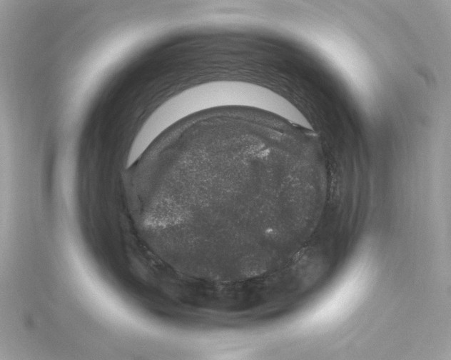 X0000115060383200911161614