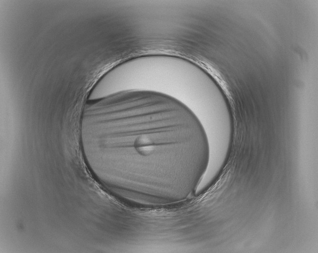 X0000115060385200911161613