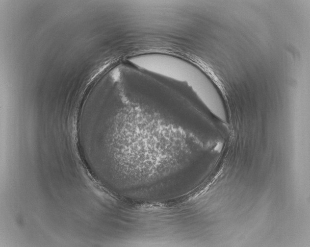 X0000115060386200911161613