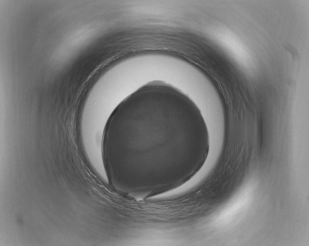 X0000115060387200911161613