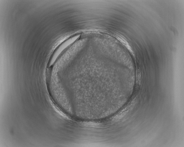 X0000115060389200911161613