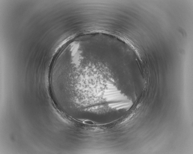 X0000115060390200911161613