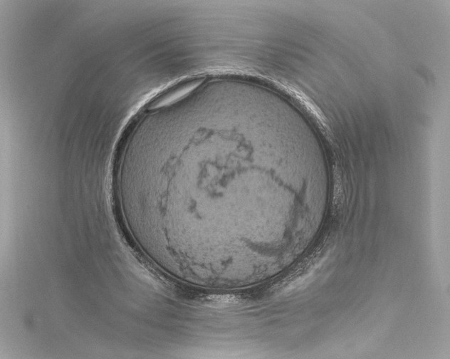 X0000115060391200911161613