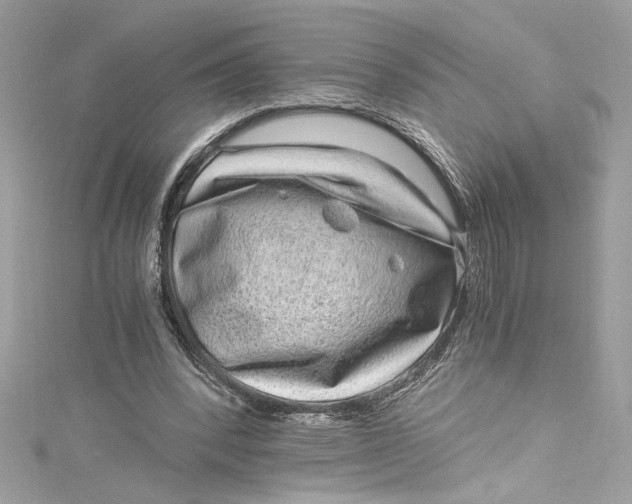 X0000115060392200911161613