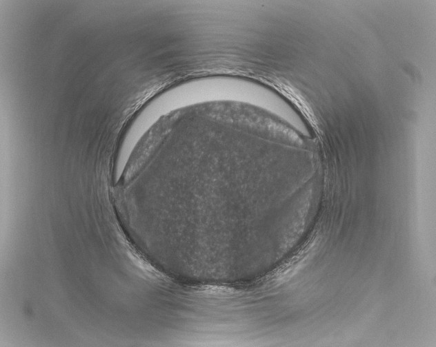 X0000115060393200911161613