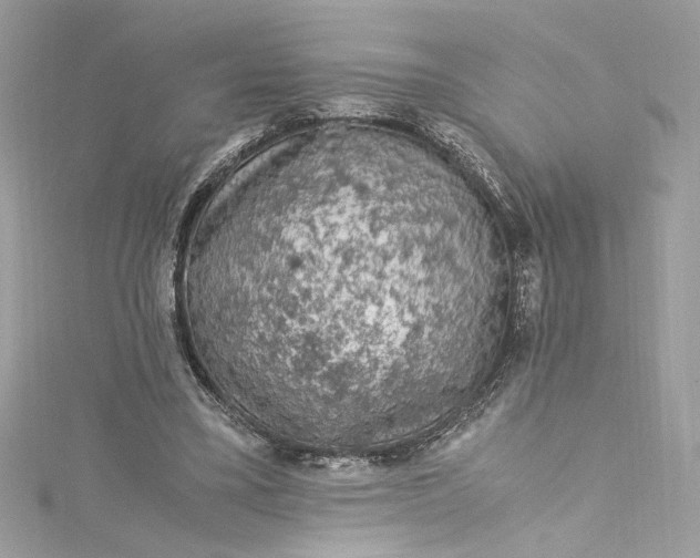 X0000115060395200911161613