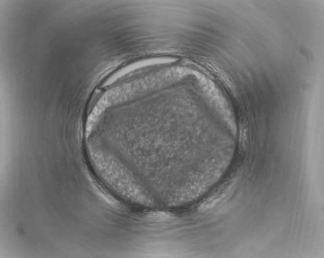 X0000115060397200911161613