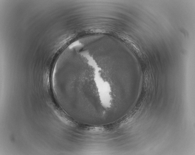 X0000115060398200911161613