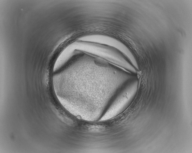 X0000115060400200911161613