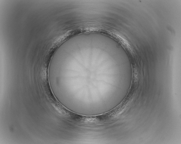 X0000115060401200911161613