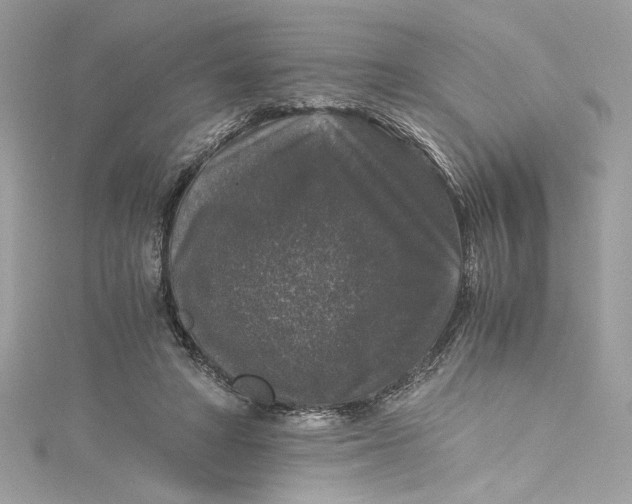 X0000115060402200911161613