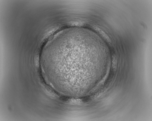 X0000115060403200911161613