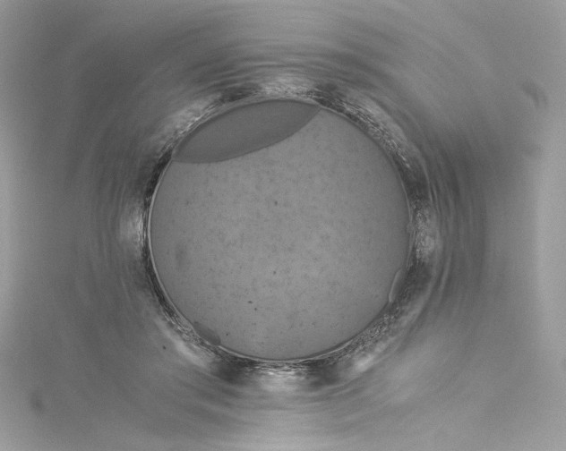 X0000115060405200911161613