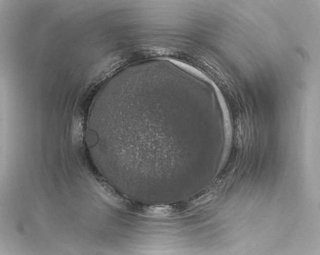 X0000115060410200911161613