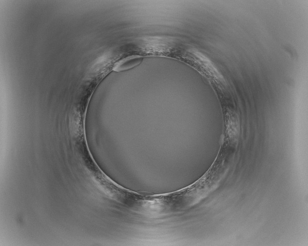 X0000115060411200911161613