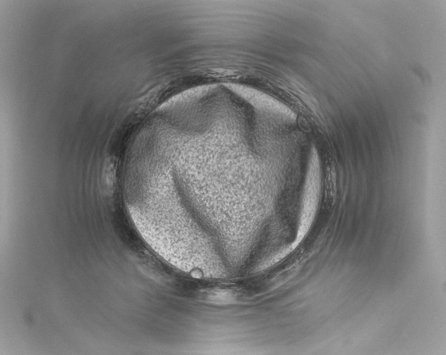 X0000115060412200911161613