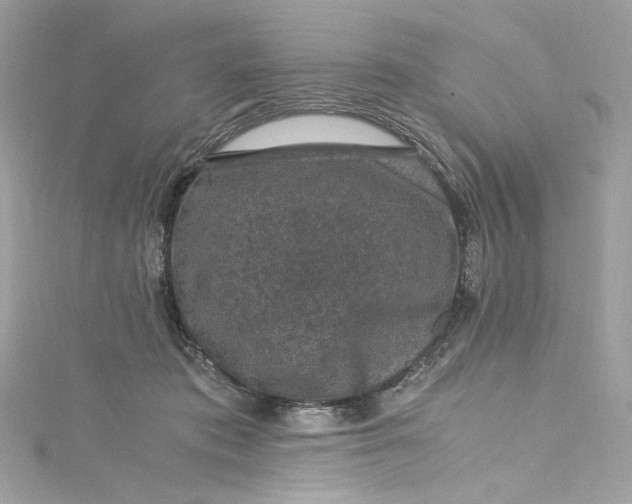 X0000115060413200911161613