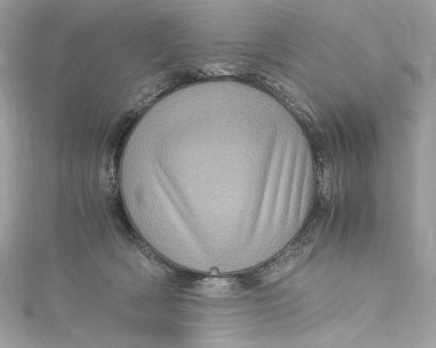 X0000115060418200911161613