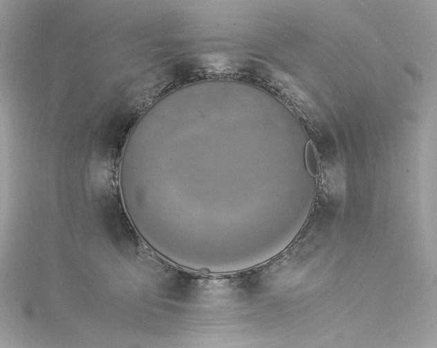 X0000115060419200911161613