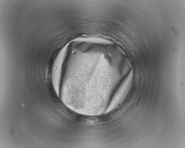 X0000115060420200911161613