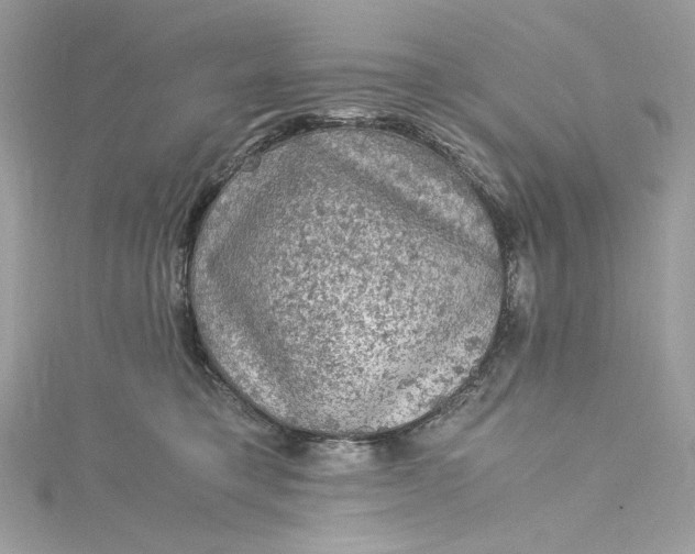 X0000115060421200911161613