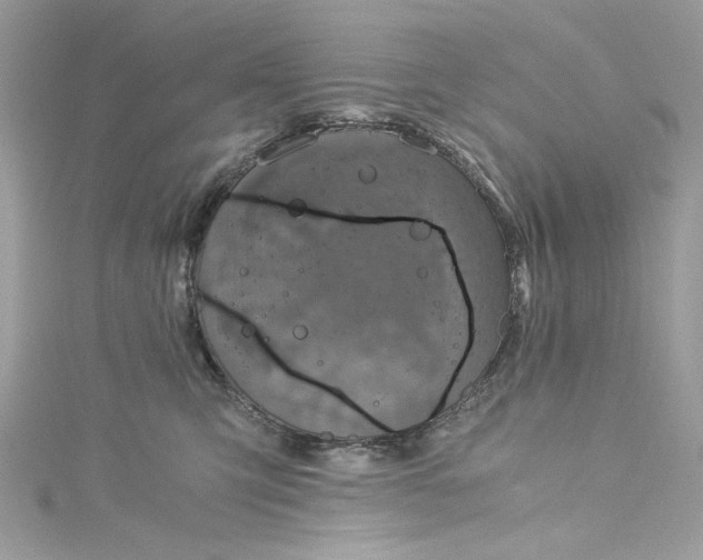 X0000115060423200911161613