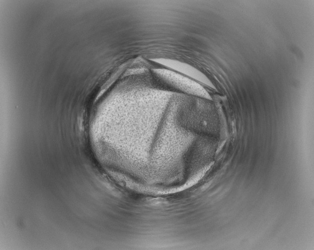 X0000115060424200911161613