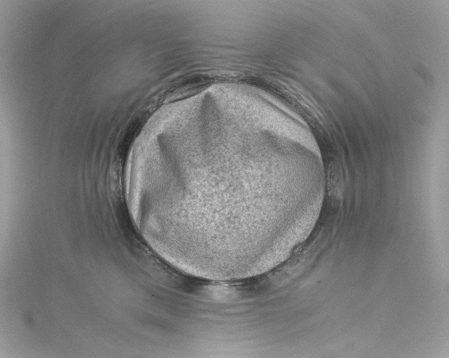 X0000115060425200911161613