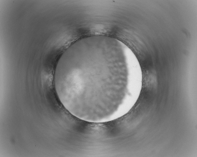 X0000115060427200911161613