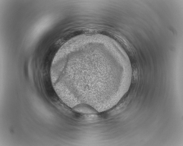 X0000115060429200911161613