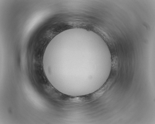 X0000115060430200911161613