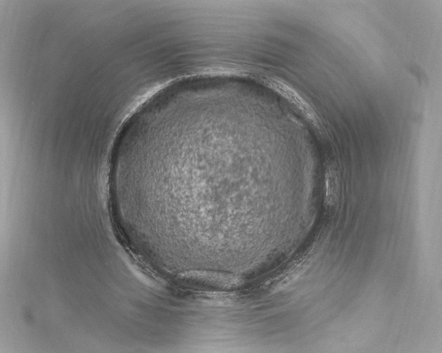 X0000115060436200911161612