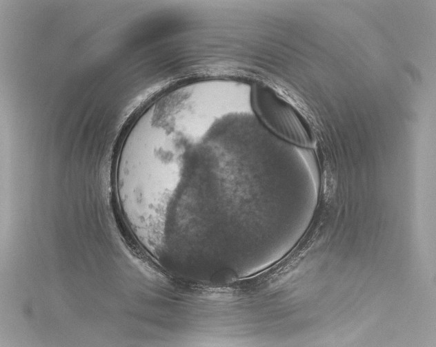 X0000115060438200911161612