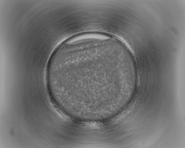 X0000115060439200911161612