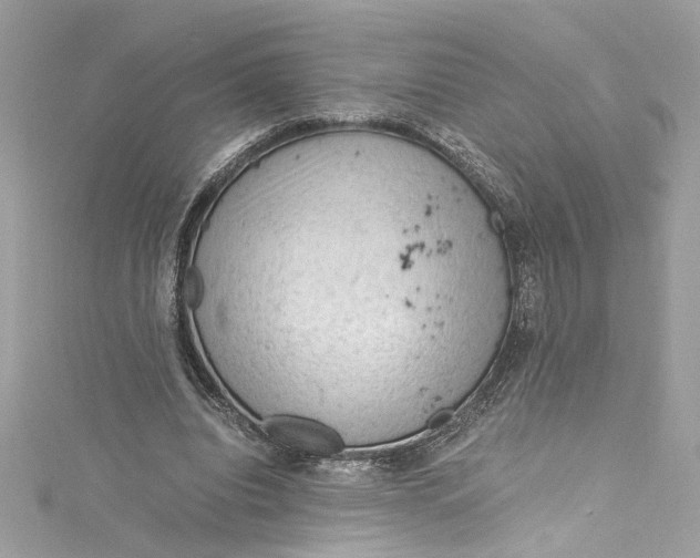 X0000115060440200911161612