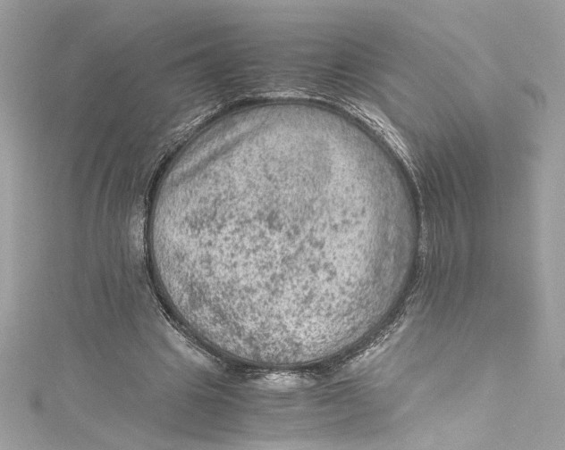 X0000115060441200911161612