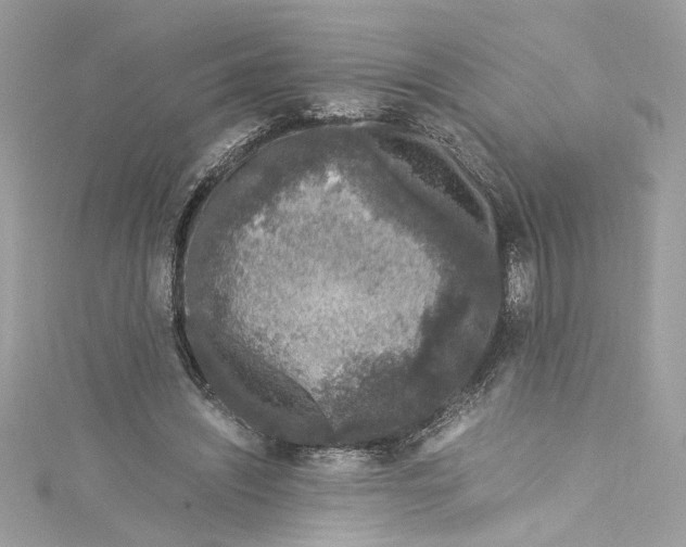 X0000115060444200911161612