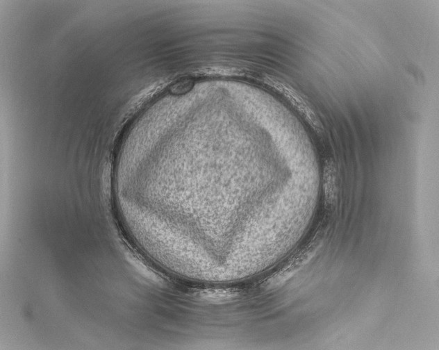 X0000115060445200911161612